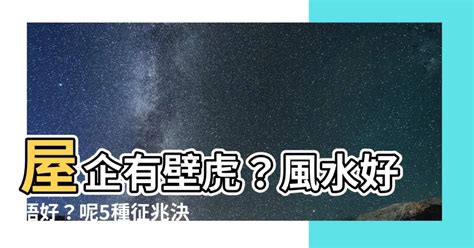 屋企有壁虎風水|在風水學中：家裡進壁虎是什麼寓意？4種預兆要「小心」了